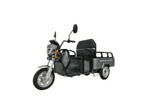 E-Mobil Little Rhino Li, 72V/20 Ah Lithium-Akku