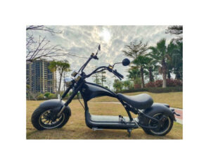 Screenshot 2024-04-03 at 11-46-21 E-Scooter Chopper X9 inklusive Straßenzulassung 3000 Watt ab 1999 € Kopie