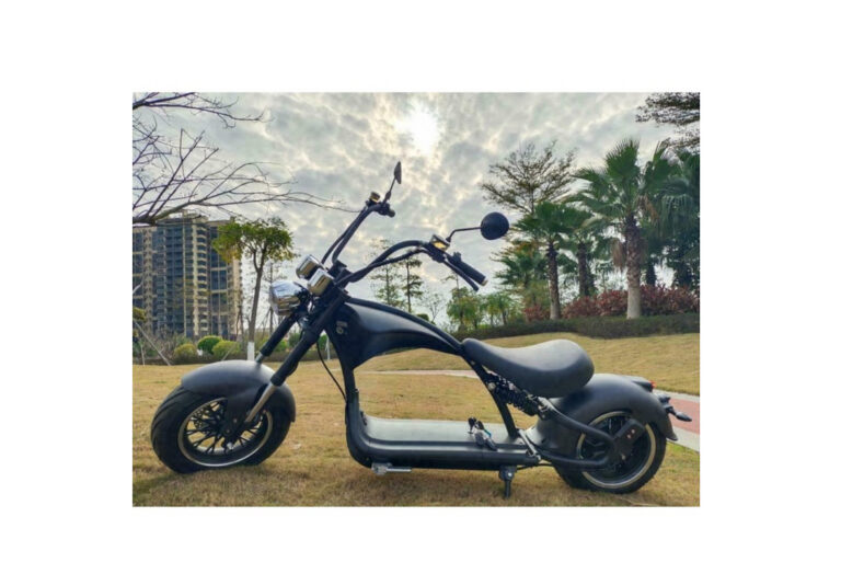 Screenshot 2024-04-03 at 11-46-21 E-Scooter Chopper X9 inklusive Straßenzulassung 3000 Watt ab 1999 € Kopie