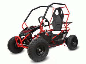 NITRO MOTORS 1000W Eco midi Kinder Buggy-2 NITRO MOTORS 1000W Eco midi Kinder Buggy-2