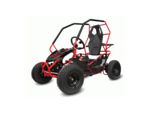 NITRO MOTORS 1000W Eco midi Kinder Buggy Racer PRM 6" ALM