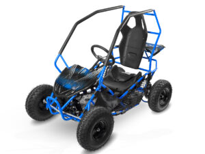 NITRO MOTORS 1000W Eco midi Kinder Buggy-7 NITRO MOTORS 1000W Eco midi Kinder Buggy-7
