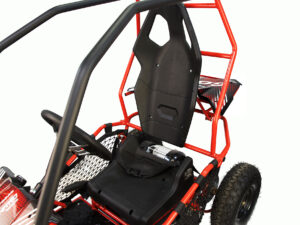 NITRO MOTORS 1000W Eco midi Kinder Buggy-9 NITRO MOTORS 1000W Eco midi Kinder Buggy-9