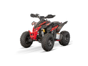 NITRO MOTORS 250cc maxi Quad Celavi RS10 4-Gang Manuell Platin Alu-Felge