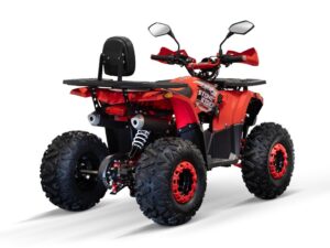 Quad Stone Rider QS RS-3G8-6
