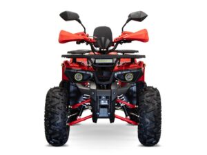 Quad Stone Rider QS RS-3G83