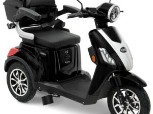 35387-e-trike-25v2-r31-schwarz-001-jpg 35387-e-trike-25v2-r31-schwarz-001-jpg