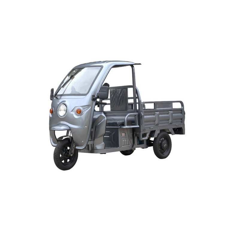 Elektro-Lastendreirad Cargo Cruiser Dach_start Elektro-Lastendreirad Cargo Cruiser Dach_start