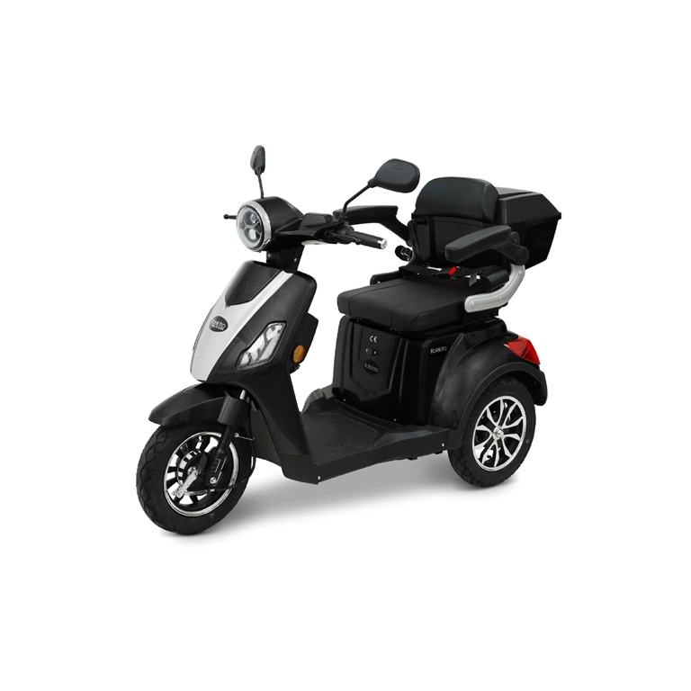 e-trike-25v2-r31-schwarz-008-jpg e-trike-25v2-r31-schwarz-008-jpg