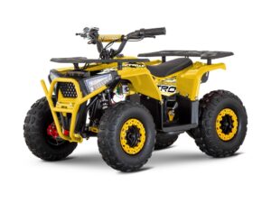 NITRO E-QUAD NERINO 1200W 48V gelb